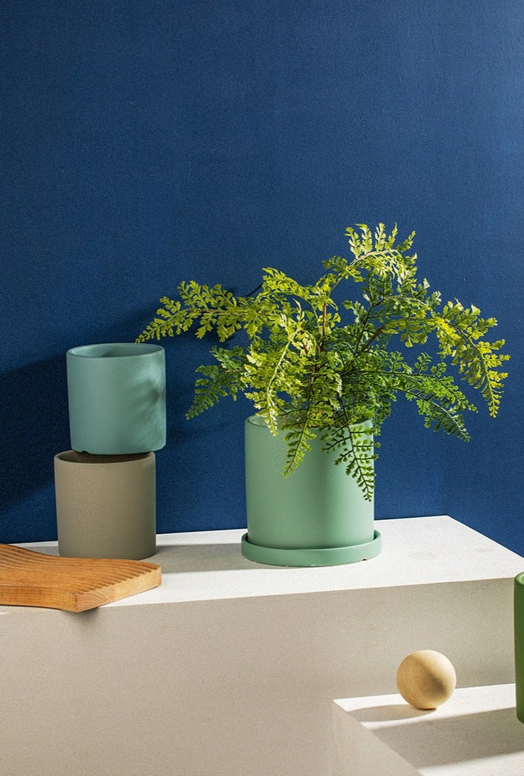 Royaleva All The Bright Colors Planter with Saucer Set
