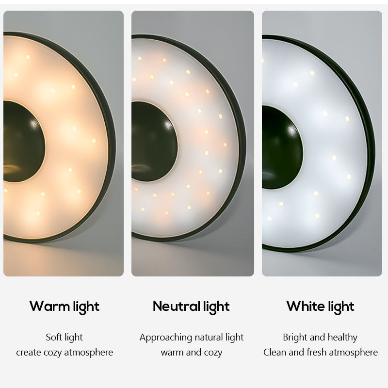 Jellyfish Elegance - USB Rechargeable Touch Lamp 6