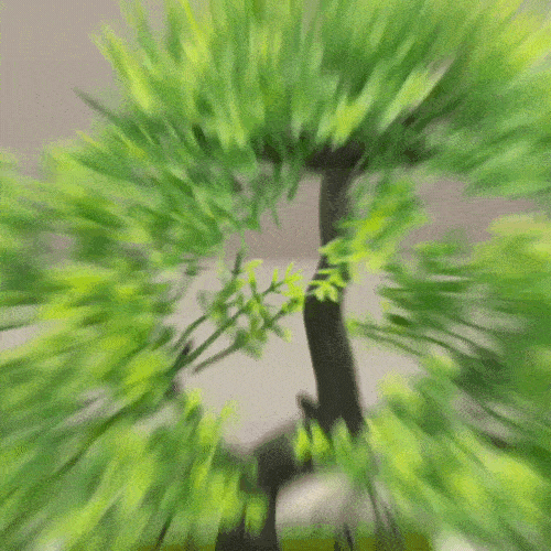LuxRoyale Artificial Bonsai Tree Plant Pots for Home Decor