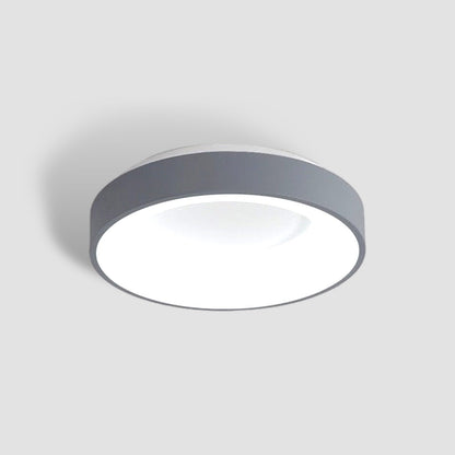Luxely Minimalist Ceiling Light 1