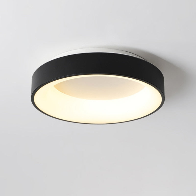 Luxely Minimalist Ceiling Light 6