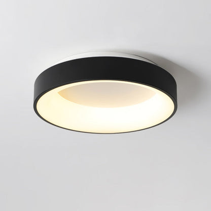 Luxely Minimalist Ceiling Light 6