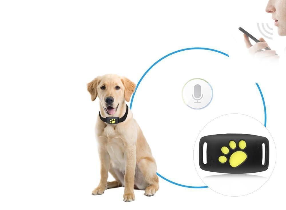 Luxora pet GPS Tracker Collar - Real-Time Location Updates, Lightweight Design