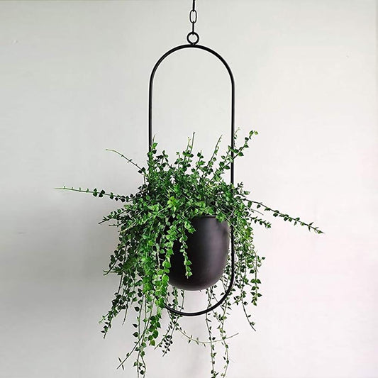 Luxora Nordic Style Metal Hanging Flower Pot - Metal Wall and Ceiling Hanging Planter