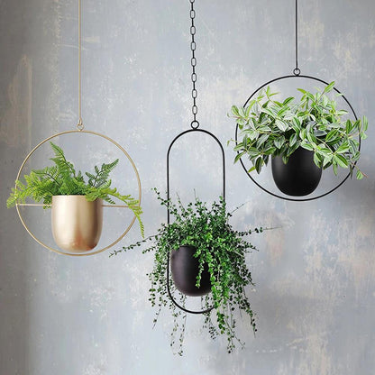Luxora Hanging Plant Holder for Wall Planters Indoor - Modern Iron Design 1