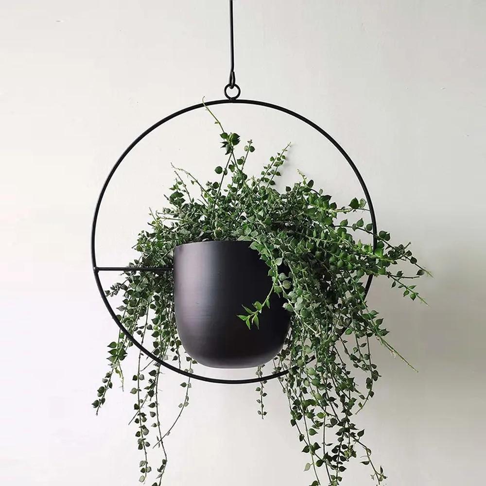 Luxora Hanging Plant Holder for Wall Planters Indoor - Modern Iron Design 2