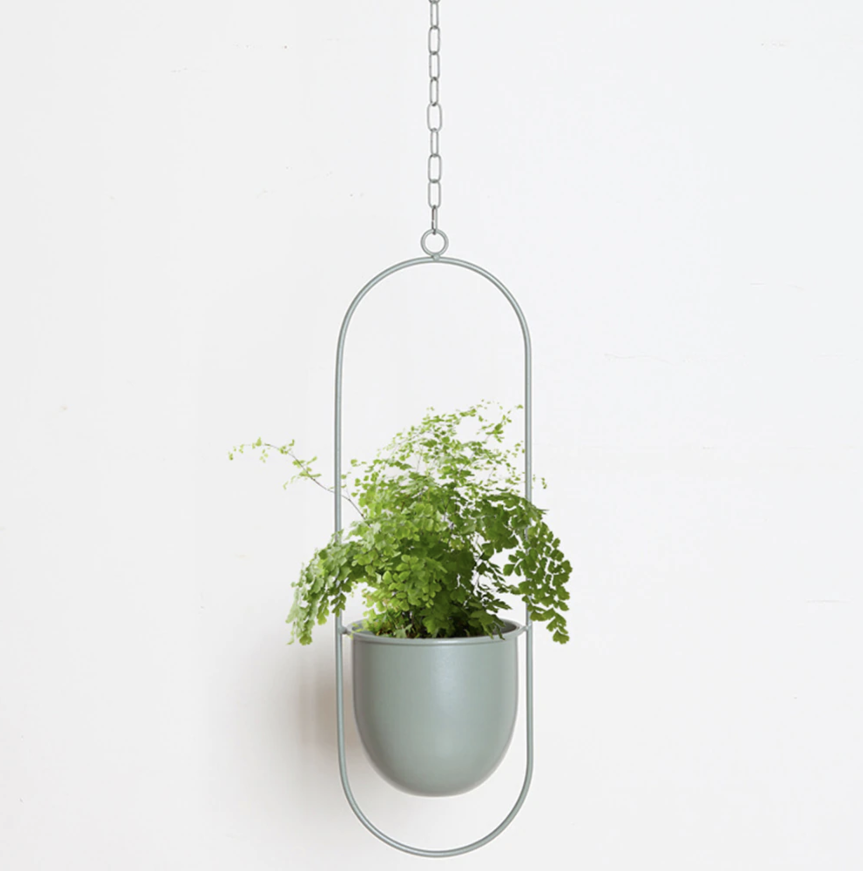Luxora Hanging Plant Holder for Wall Planters Indoor - Modern Iron Design 4