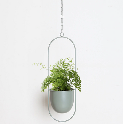 Luxora Hanging Plant Holder for Wall Planters Indoor - Modern Iron Design 4
