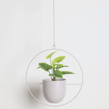 Luxora Hanging Plant Holder for Wall Planters Indoor - Modern Iron Design 5