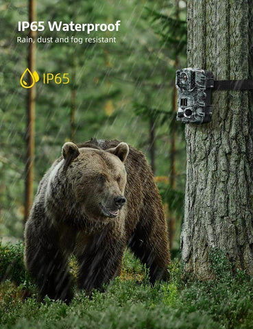 Luxora Wireless Hd Wildlife Game Trail Camera With Night Vision
