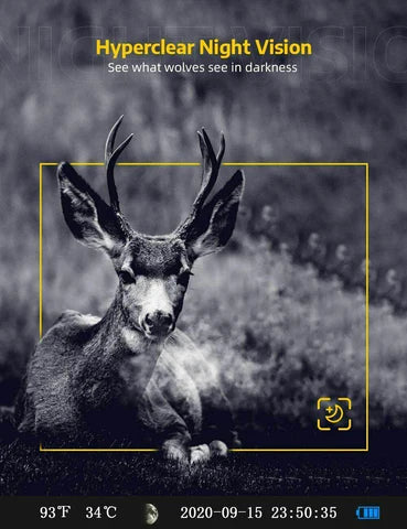 Luxora Wireless Hd Wildlife Game Trail Camera With Night Vision