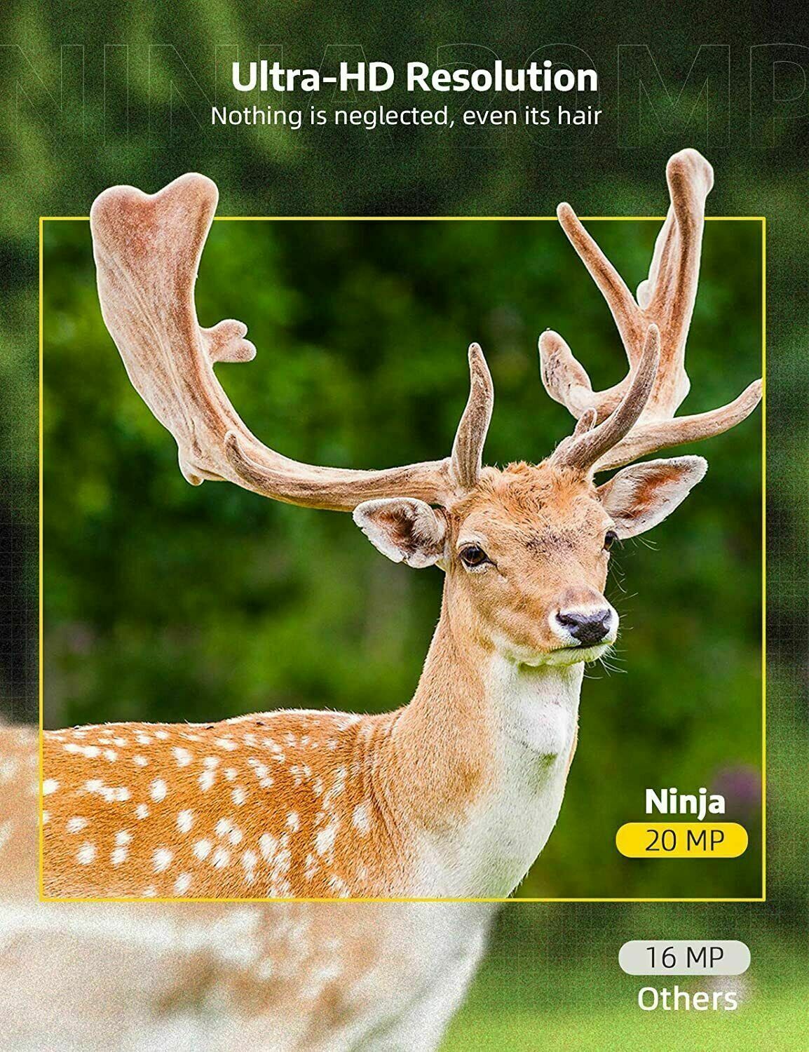 Luxora Wireless Hd Wildlife Game Trail Camera With Night Vision