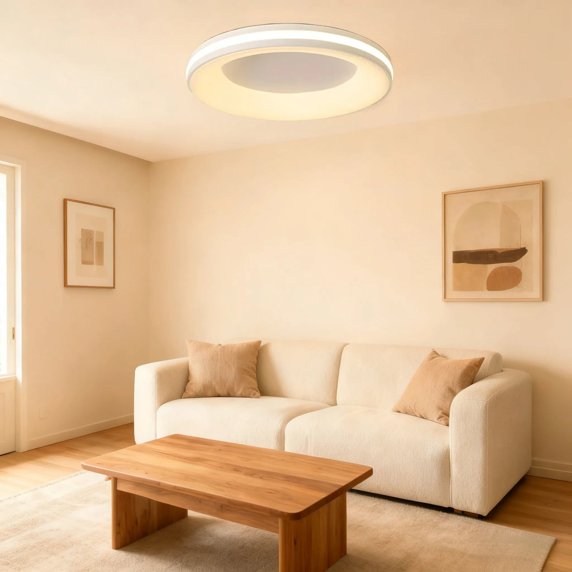 Modern Simplistic Circle Ceiling Light 4