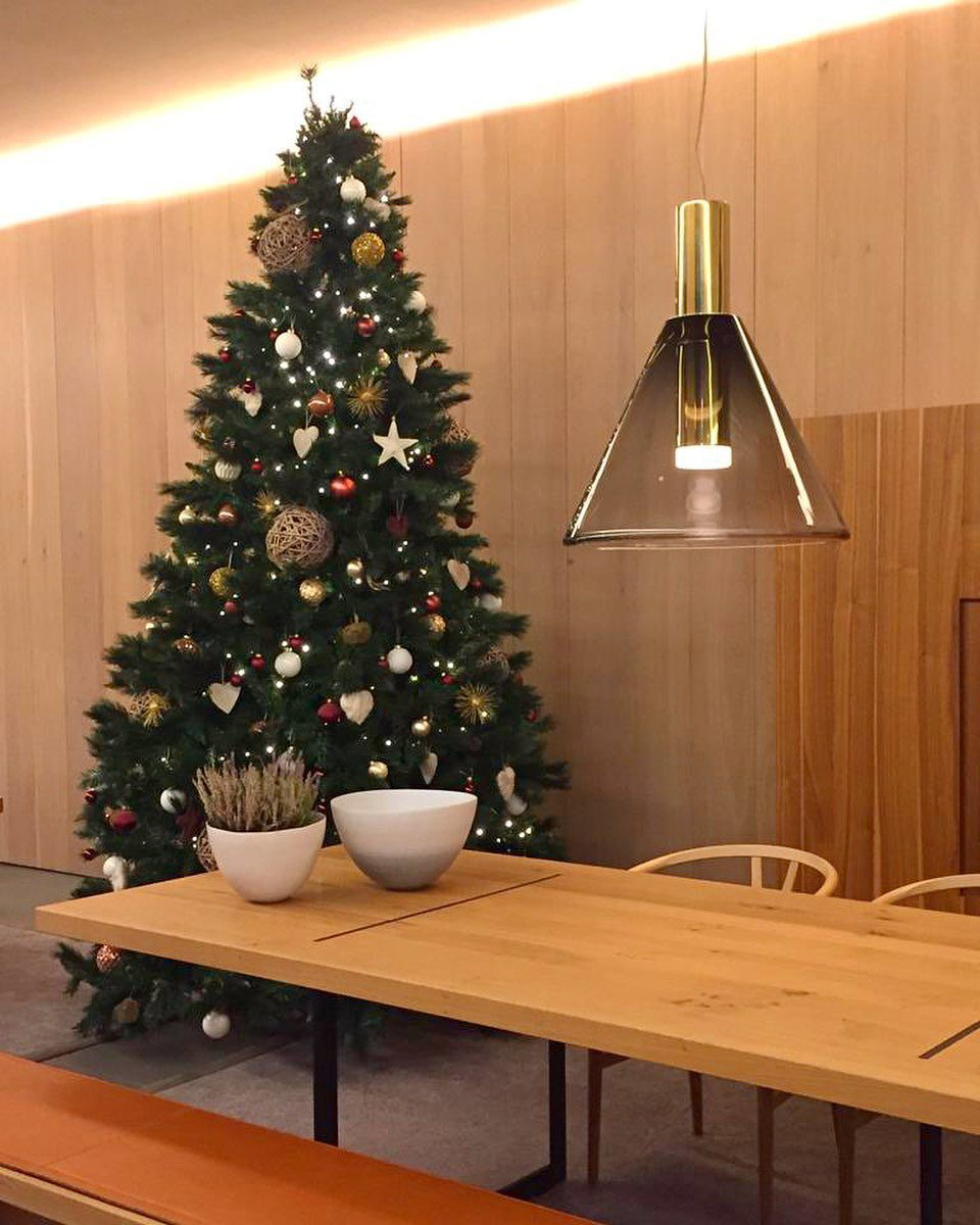 Phenomena Pendant Light 7