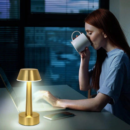 Plug less Portable Lamp 7