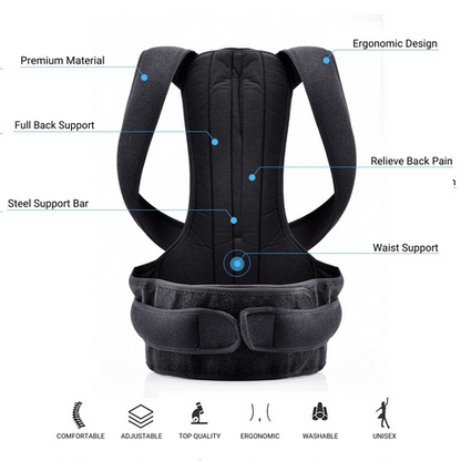 Royaleva Complete Back Care Brace for Posture Support