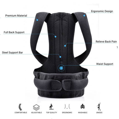 Royaleva Complete Back Care Brace for Posture Support