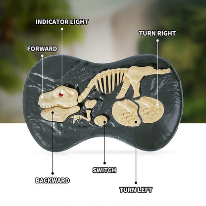 Remote Control Dinosaur 6
