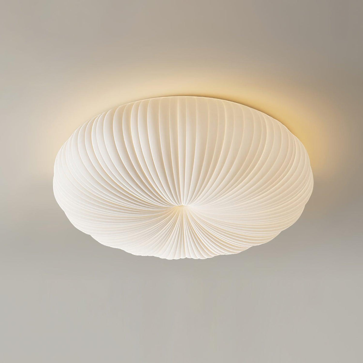 Ribbed Shell Ceiling Light 0