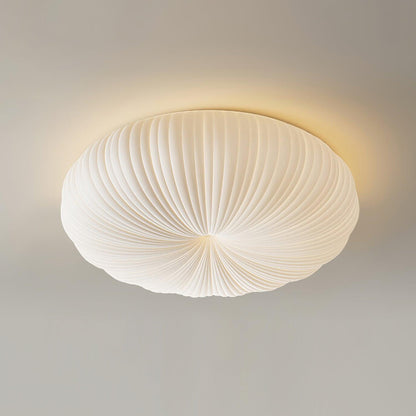 Ribbed Shell Ceiling Light 0