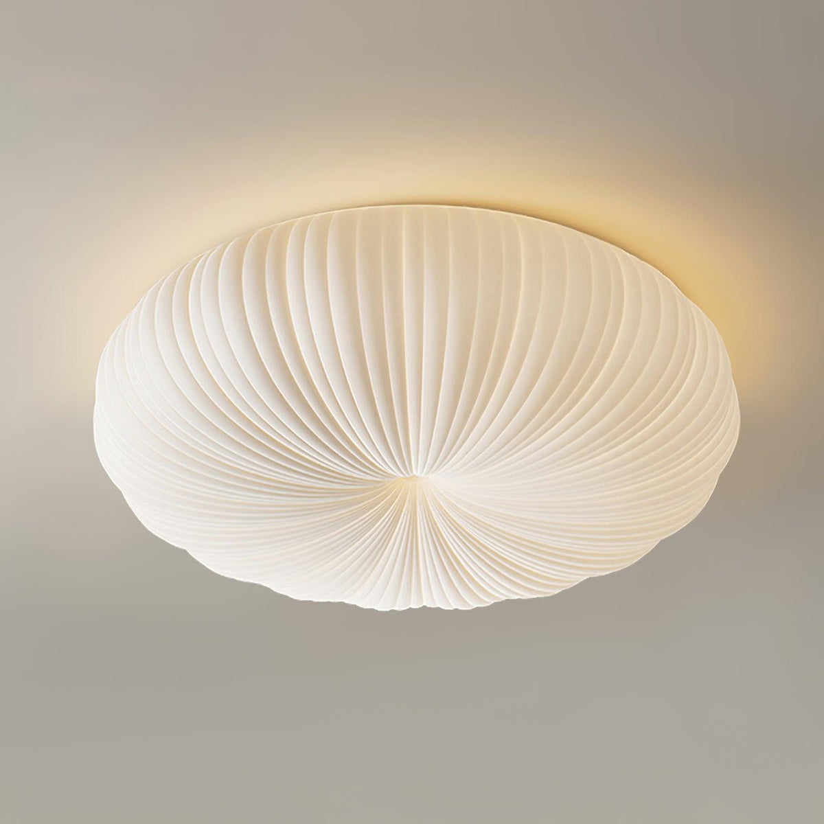 Ribbed Shell Ceiling Light 2