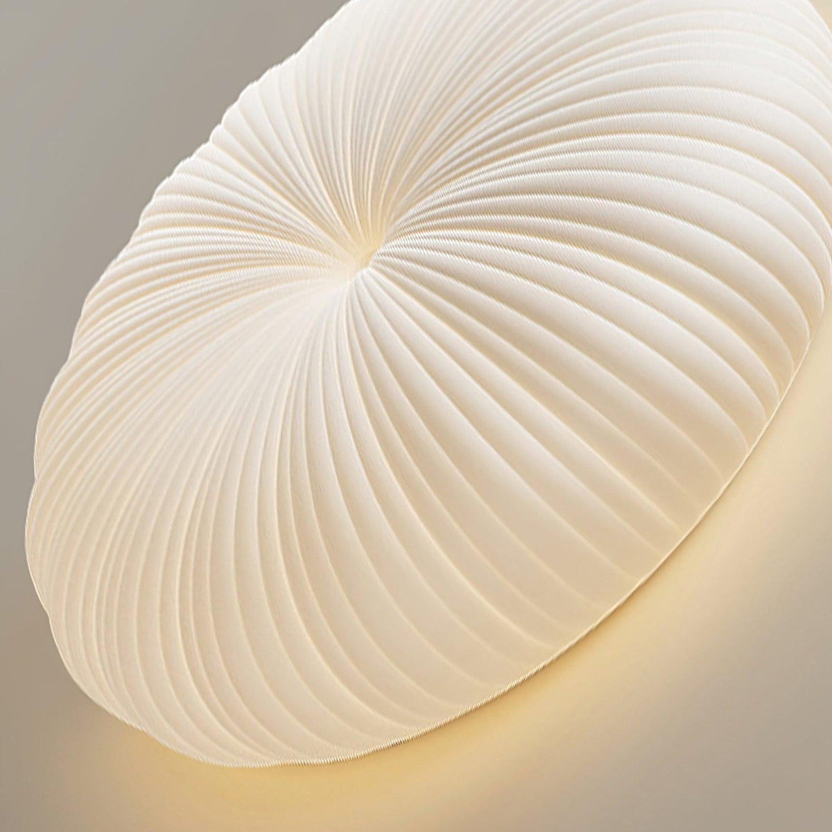 Ribbed Shell Ceiling Light 8