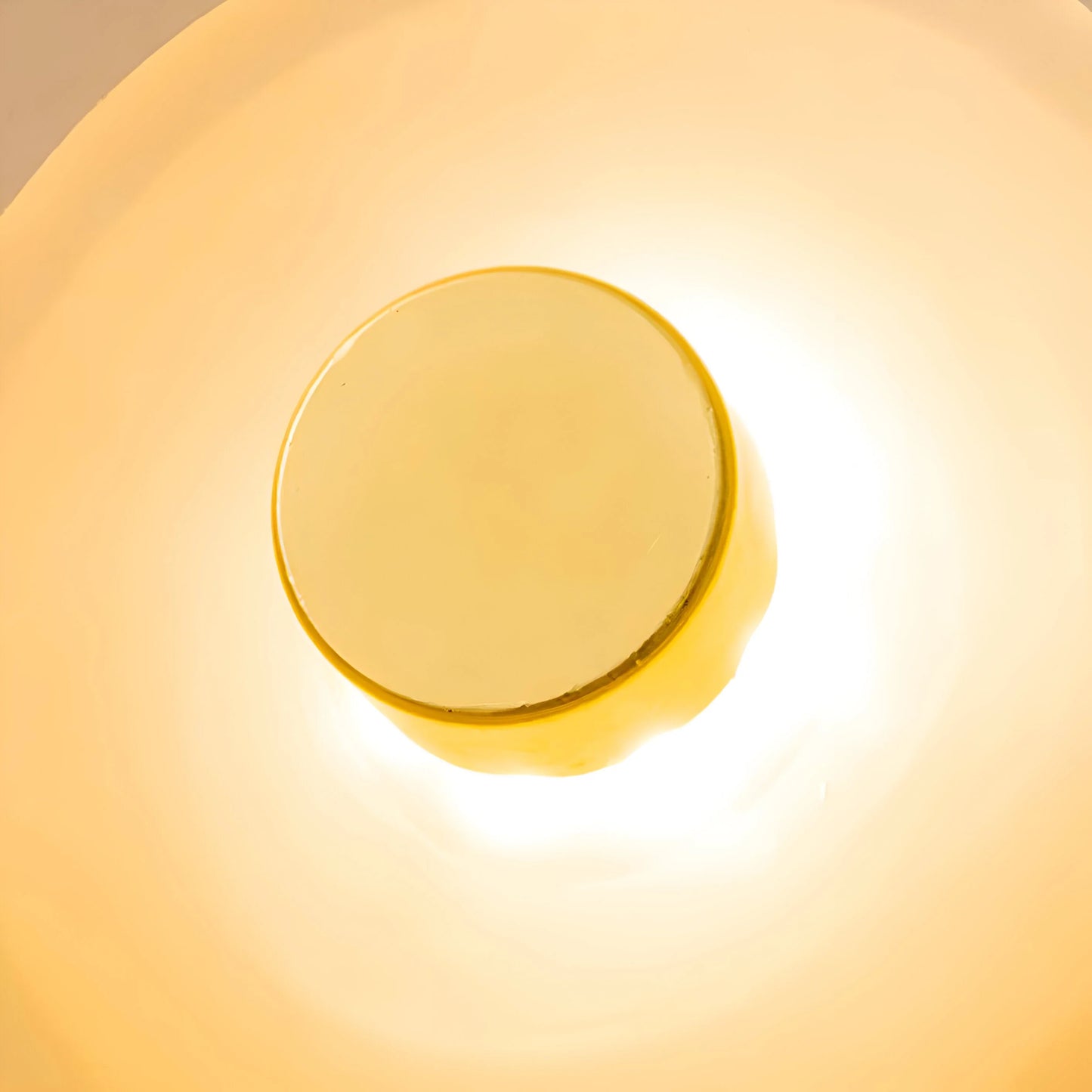 LuxRoyale Japandi Curved Glass LED Wall Sconce Light with Warm White Glow
