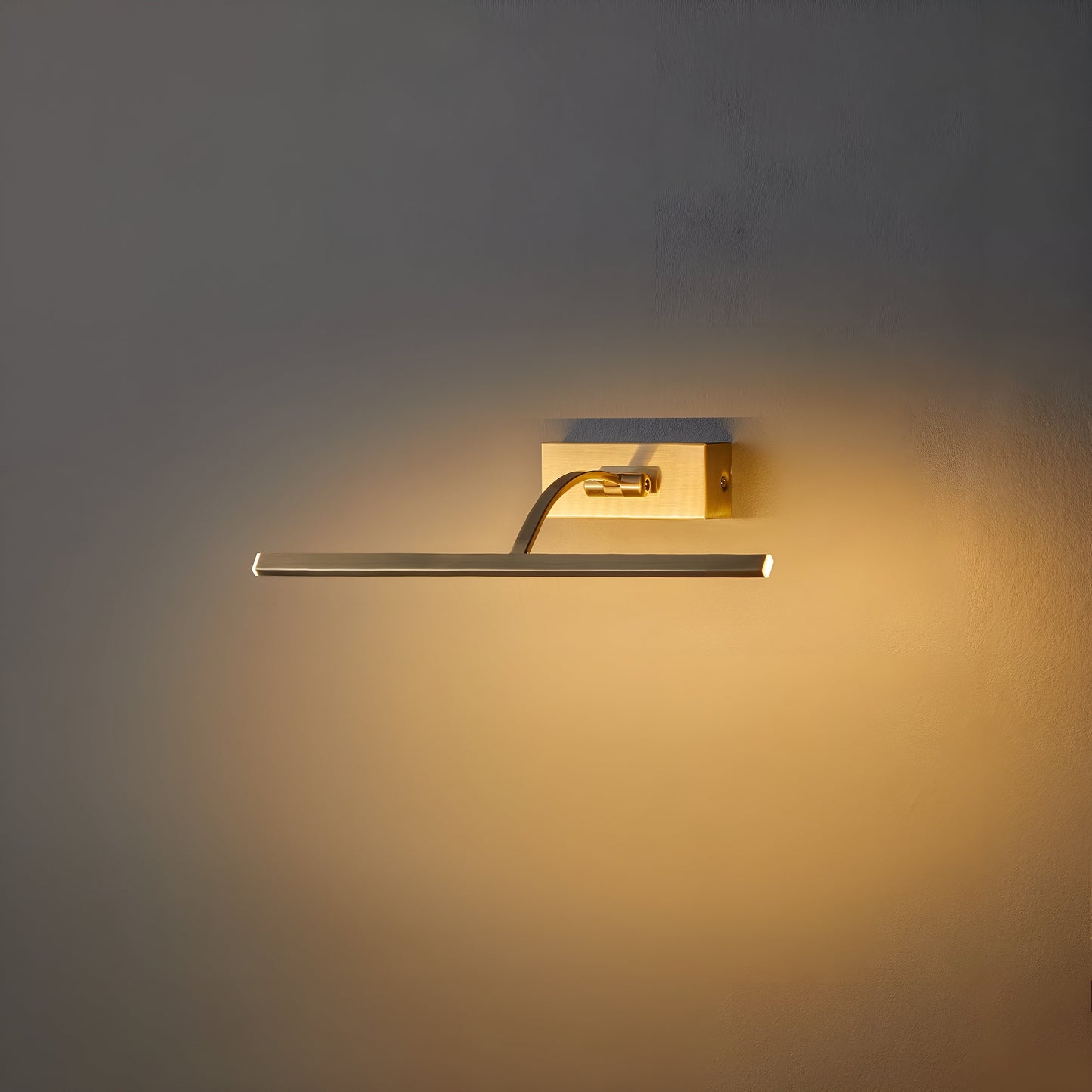 Royallure Brass Picture Light Sconce with Adjustable LED for Art Display 1