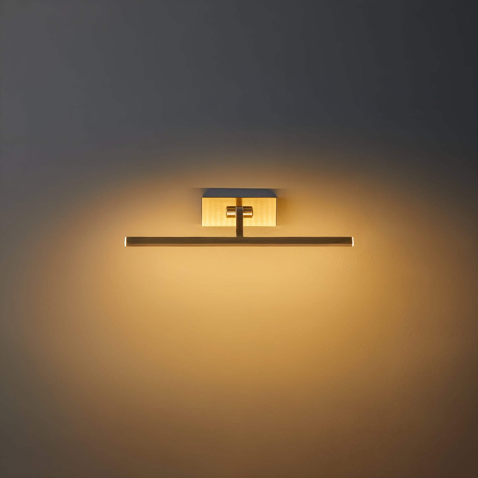 Royallure Brass Picture Light Sconce with Adjustable LED for Art Display 4