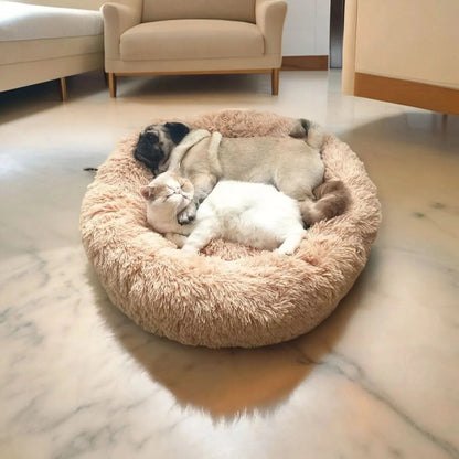 Royallure Cozy Plush Raised Dog Bed for Large Dogs - Best Dog Bed for Comfort 1