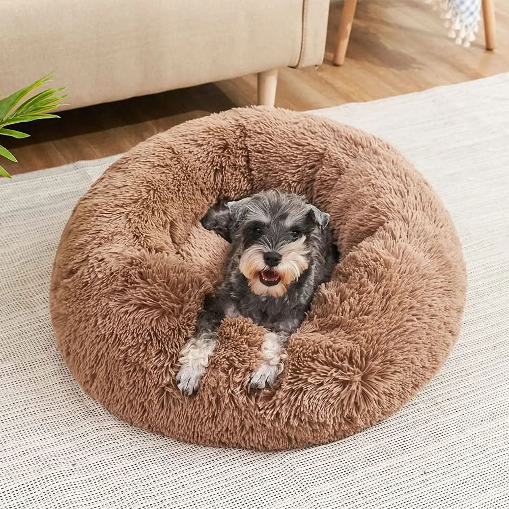 Royallure Cozy Plush Raised Dog Bed for Large Dogs - Best Dog Bed for Comfort 5