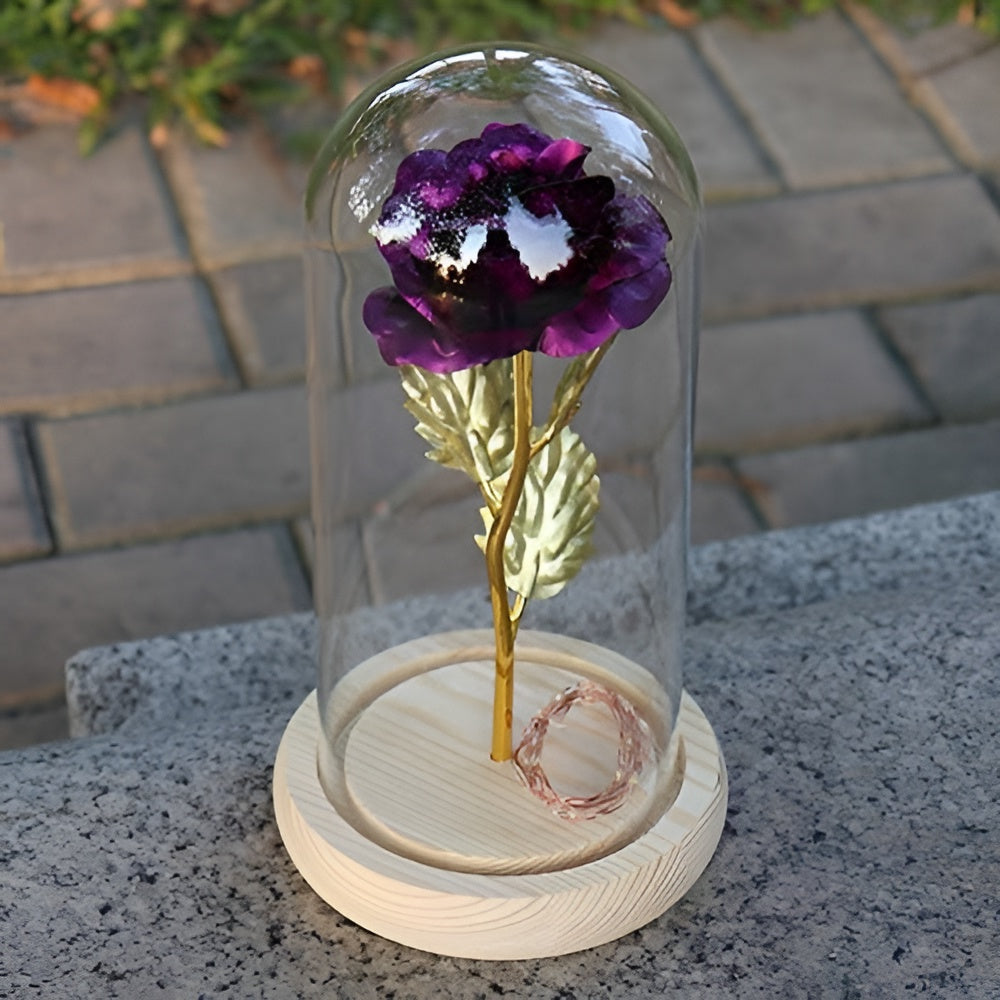 Royallure Decorative Lamp with LED Rose Glass Dome & Wooden Base, Perfect Gift 0