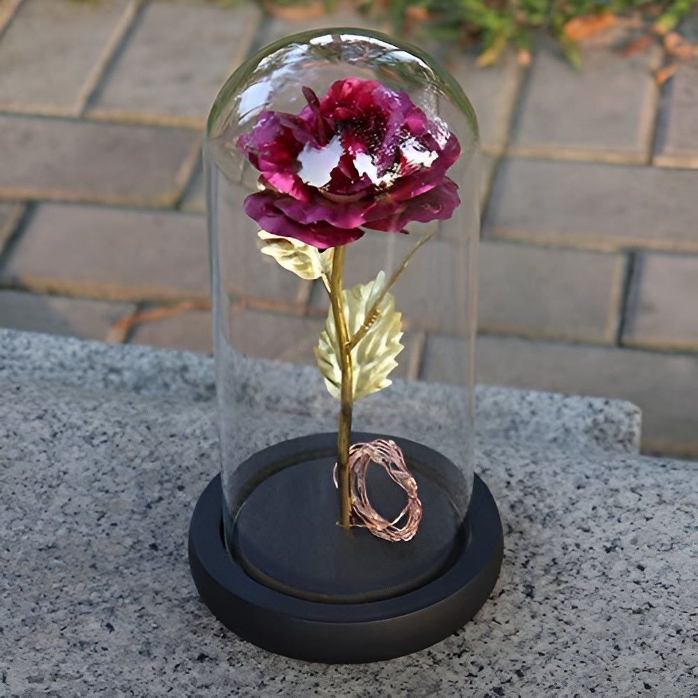 Royallure Decorative Lamp with LED Rose Glass Dome & Wooden Base, Perfect Gift 4