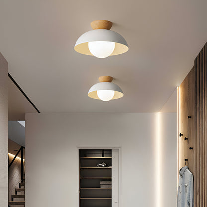 Royallure Flush Mount Ceiling Light, Eco-Friendly Iron Shade, Nordic Minimalist Design, LED Compatible 5