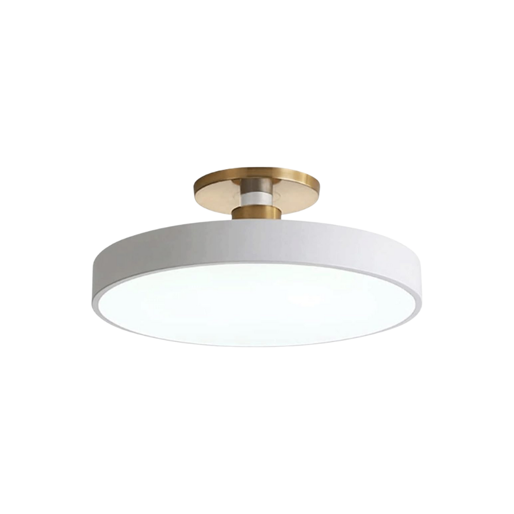 Royallure Flush Mount Ceiling Light with Dimming, Multiple Color Options, Modern Design 0