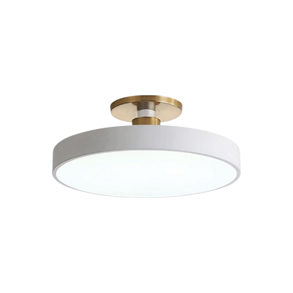 Royallure Flush Mount Ceiling Light with Dimming, Multiple Color Options, Modern Design 0