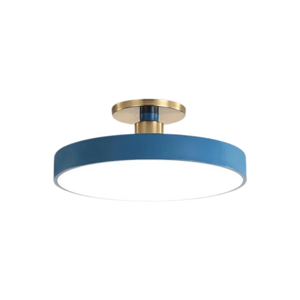 Royallure Flush Mount Ceiling Light with Dimming, Multiple Color Options, Modern Design 11