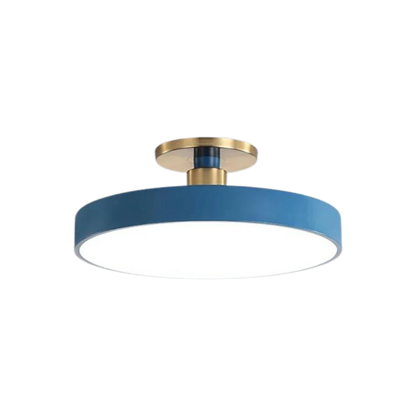 Royallure Flush Mount Ceiling Light with Dimming, Multiple Color Options, Modern Design 11