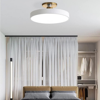 Royallure Flush Mount Ceiling Light with Dimming, Multiple Color Options, Modern Design 2