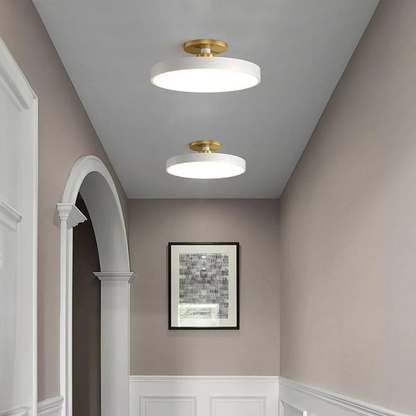 Royallure Flush Mount Ceiling Light with Dimming, Multiple Color Options, Modern Design 3