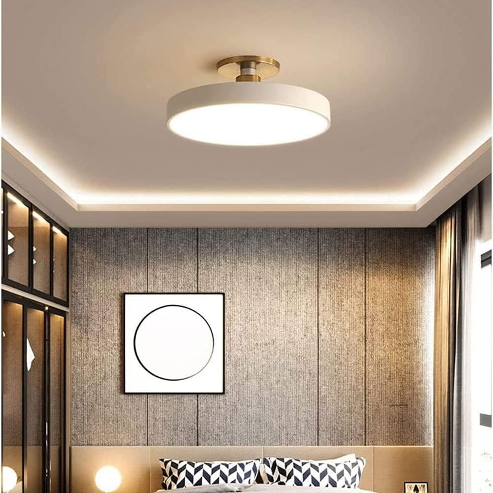 Royallure Flush Mount Ceiling Light with Dimming, Multiple Color Options, Modern Design 4