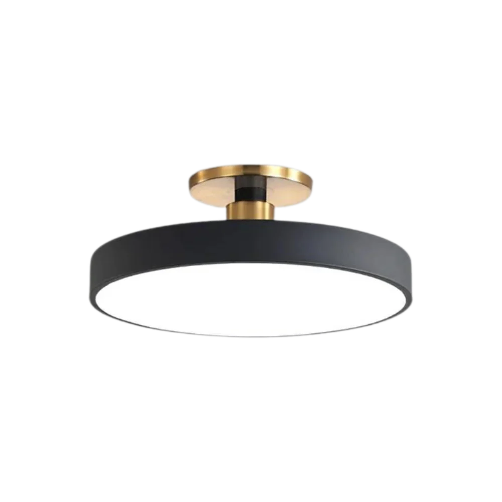 Royallure Flush Mount Ceiling Light with Dimming, Multiple Color Options, Modern Design 9