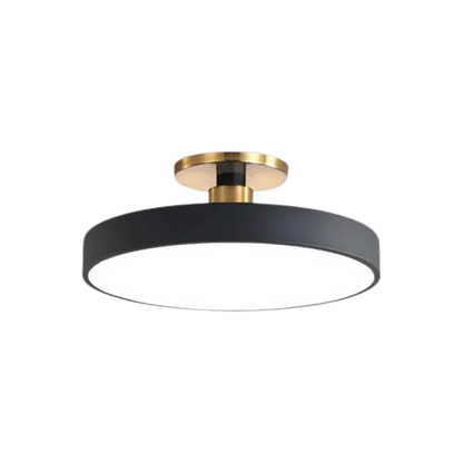 Royallure Flush Mount Ceiling Light with Dimming, Multiple Color Options, Modern Design 9