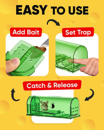 Royallure Humane Mouse Trap 4-Pack – No-Touch, Child & Pet Safe, Easy Setup, Stress-Free Live-Capture Design 3