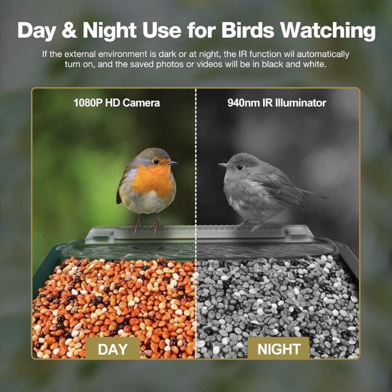 Royallure Smart Bird Feeder with 1080P HD Camera, PIR Motion Detection, Dual Troughs & Hummingbird Feeder 2