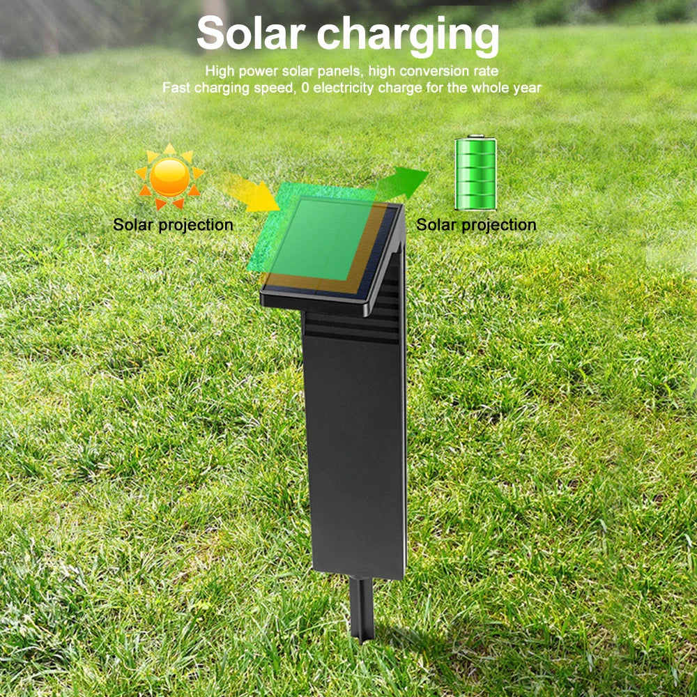 Solar LED Pathway Lights - Waterproof, Dual Color Solar Garden Lights - Only Warm