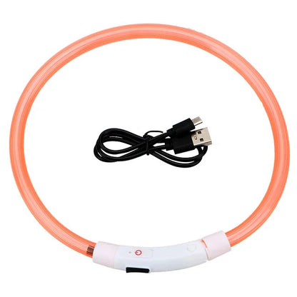 Light Up Dog Collar, USB Rechargeable LED Glowing Collar for Night Safety, Detachable Luminous Pet Accessory - Orange