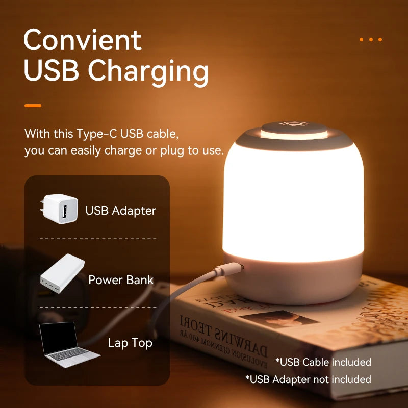Rayvia Touch Sensor LED Table Lamp - Portable Night Light for Bedroom & Kids - Pink / Rechargeable Style