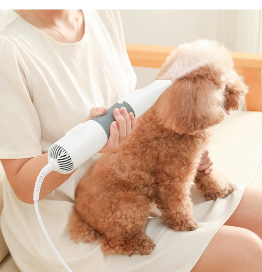 Royaleva 3-in-1 Dog Hair Dryer and Grooming Brush
