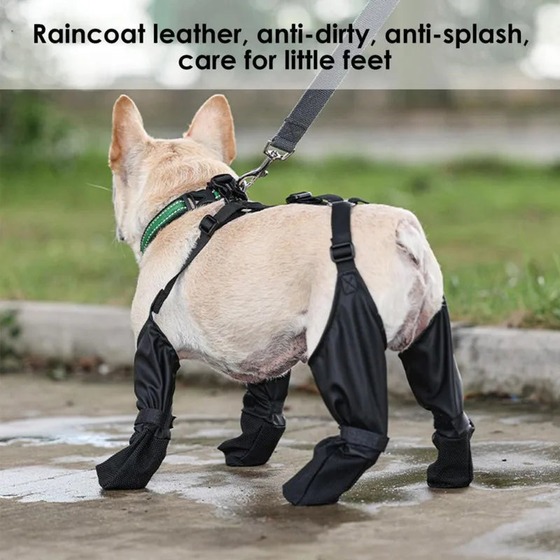 Royaleva Waterproof Dog Suspenders Boots for All Breeds